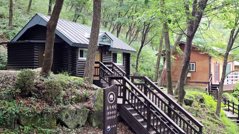 국립운문산자연휴양림 야영장 여행 추천 - 메고지고 국립운문산자연휴양림 야영장 여행 추천 - 메고지고
