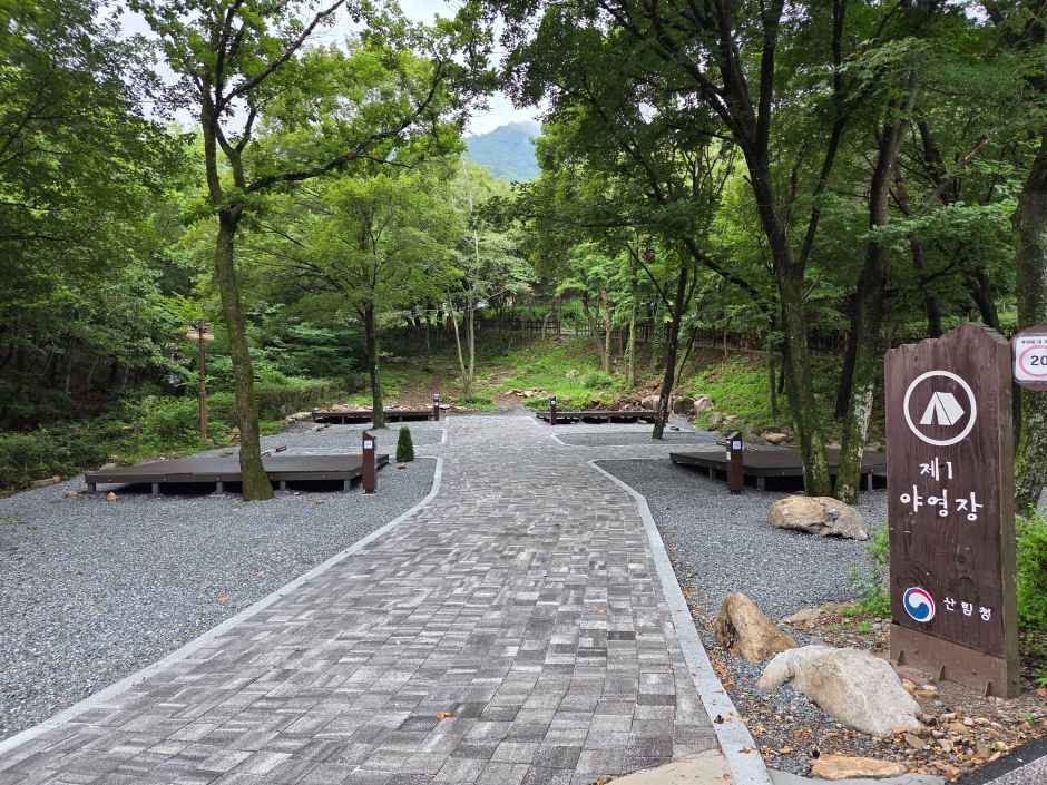 국립운문산자연휴양림 야영장 여행 추천 - 메고지고 국립운문산자연휴양림 야영장 여행 추천 - 메고지고