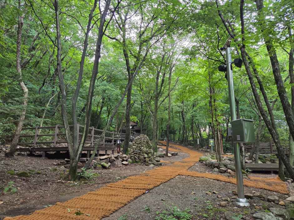 국립운문산자연휴양림 야영장 여행 추천 - 메고지고 국립운문산자연휴양림 야영장 여행 추천 - 메고지고