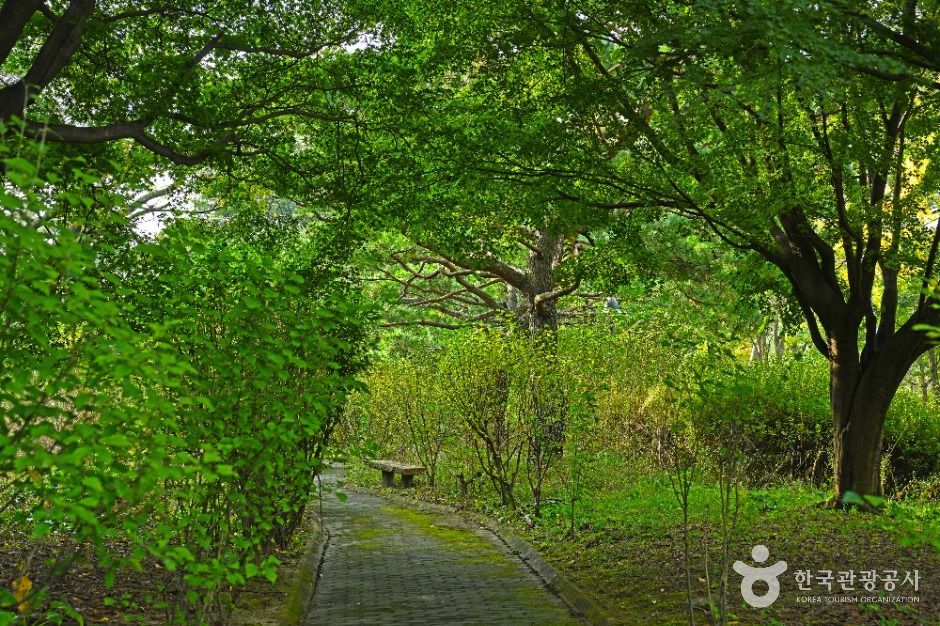 효행공원 여행 추천 - 메고지고 효행공원 여행 추천 - 메고지고