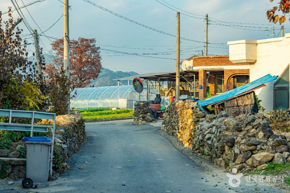 용궁마을 여행 추천 - 메고지고 용궁마을 여행 추천 - 메고지고