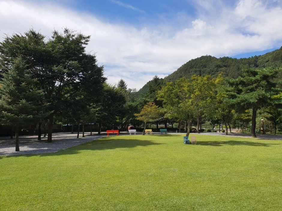 뜨란솔 캠핑장 여행 추천 - 메고지고 뜨란솔 캠핑장 여행 추천 - 메고지고