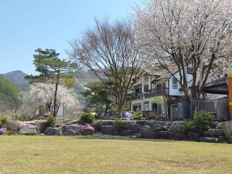 뜨란솔 캠핑장 여행 추천 - 메고지고 뜨란솔 캠핑장 여행 추천 - 메고지고