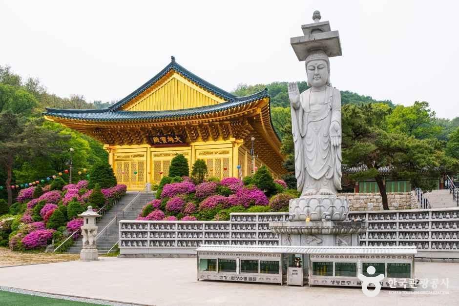 수국사(서울) 여행 추천 - 메고지고