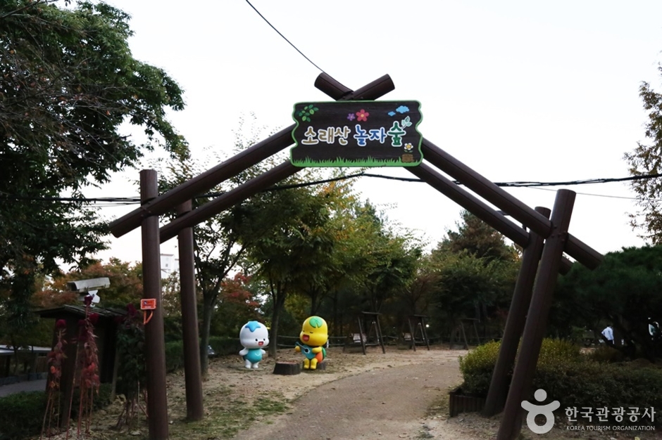 소래산산림욕장 여행 추천 - 메고지고 소래산산림욕장 여행 추천 - 메고지고