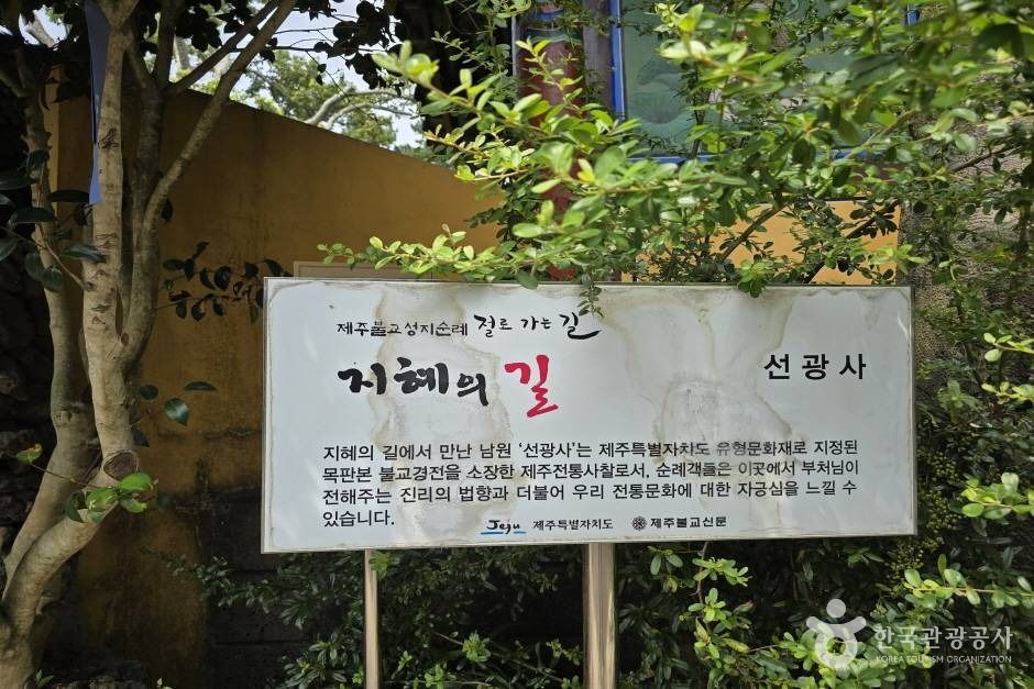 선광사(제주) 여행 추천 - 메고지고 선광사(제주) 여행 추천 - 메고지고