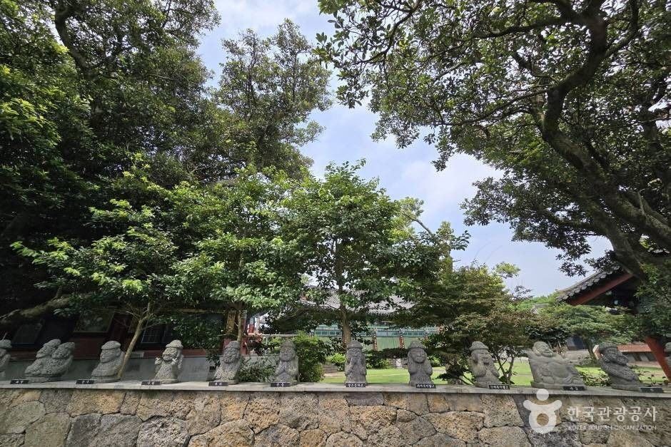 선광사(제주) 여행 추천 - 메고지고 선광사(제주) 여행 추천 - 메고지고