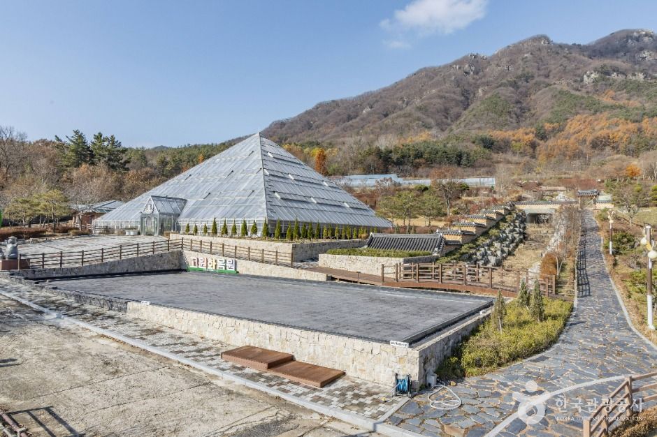 고원화목원 여행 추천 - 메고지고 고원화목원 여행 추천 - 메고지고