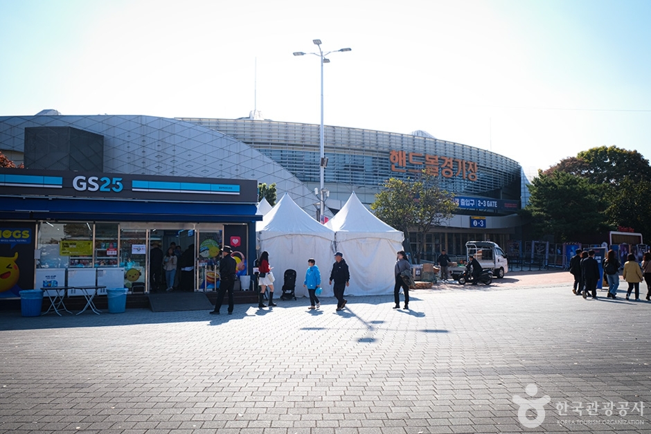 티켓링크 라이브 아레나(핸드볼경기장) 여행 추천 - 메고지고