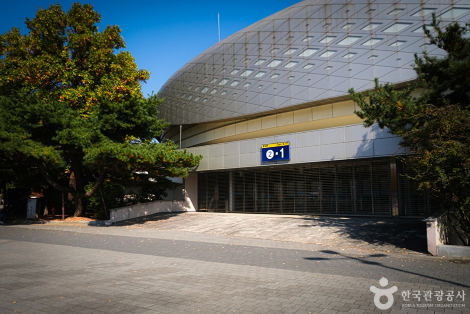 티켓링크 라이브 아레나(핸드볼경기장) 여행 추천 - 메고지고