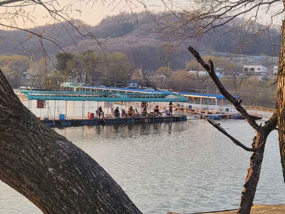 대동 낚시터 여행 추천 - 메고지고 대동 낚시터 여행 추천 - 메고지고