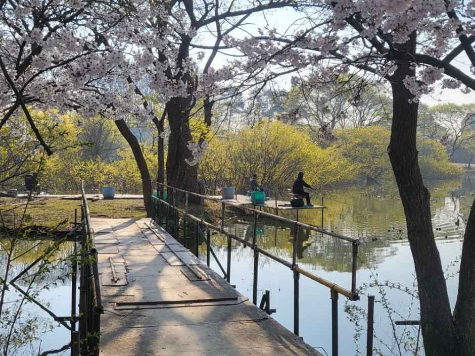 대동 낚시터 여행 추천 - 메고지고 대동 낚시터 여행 추천 - 메고지고
