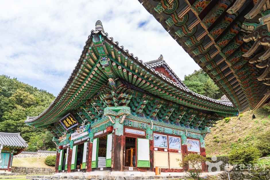비암사(세종) 여행 추천 - 메고지고 비암사(세종) 여행 추천 - 메고지고