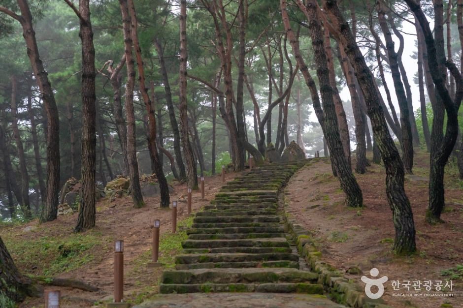 성주 세종대왕자 태실 여행 추천 - 메고지고 성주 세종대왕자 태실 여행 추천 - 메고지고
