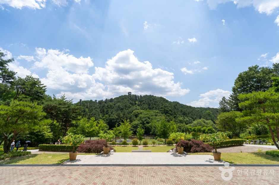 청남대 여행 추천 - 메고지고 청남대 여행 추천 - 메고지고