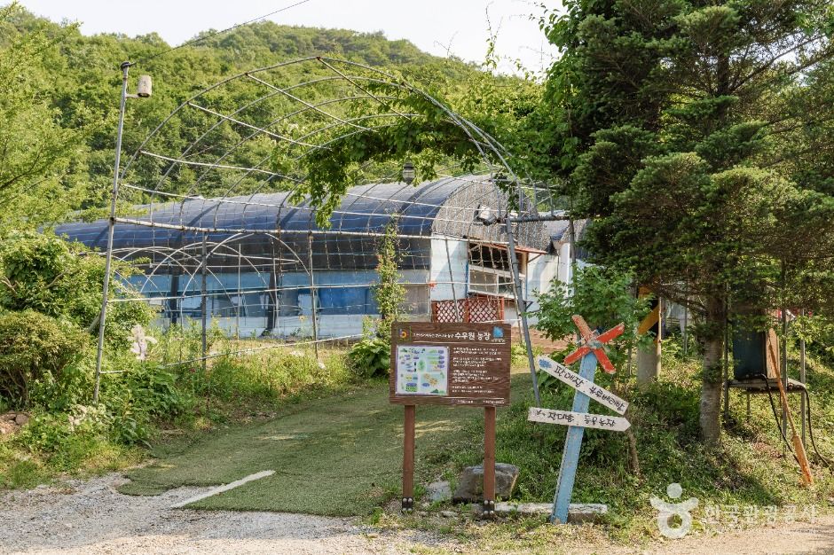 수우원 여행 추천 - 메고지고