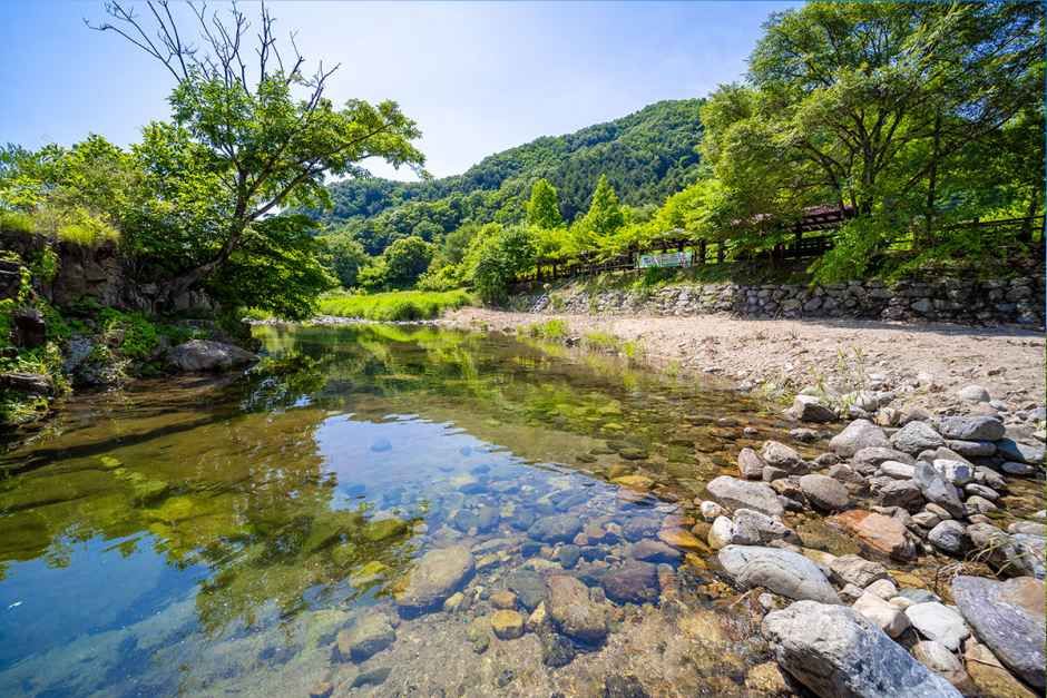 신대리야영장 여행 추천 - 메고지고 신대리야영장 여행 추천 - 메고지고