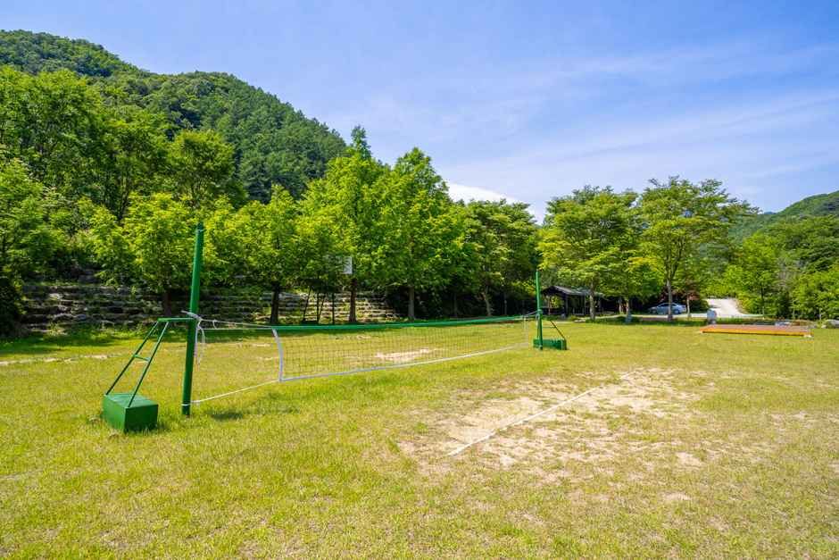 신대리야영장 여행 추천 - 메고지고 신대리야영장 여행 추천 - 메고지고