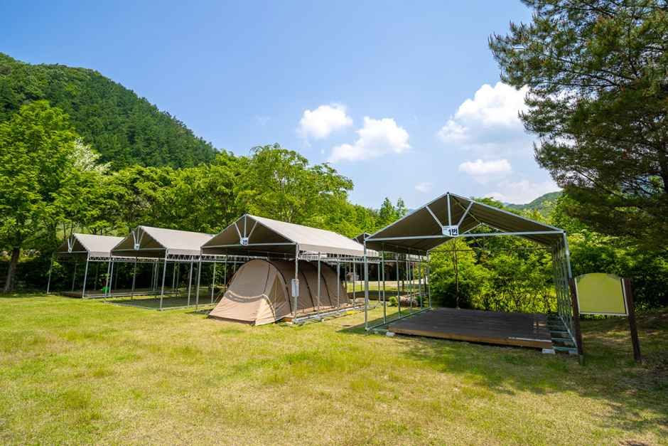 신대리야영장 여행 추천 - 메고지고 신대리야영장 여행 추천 - 메고지고