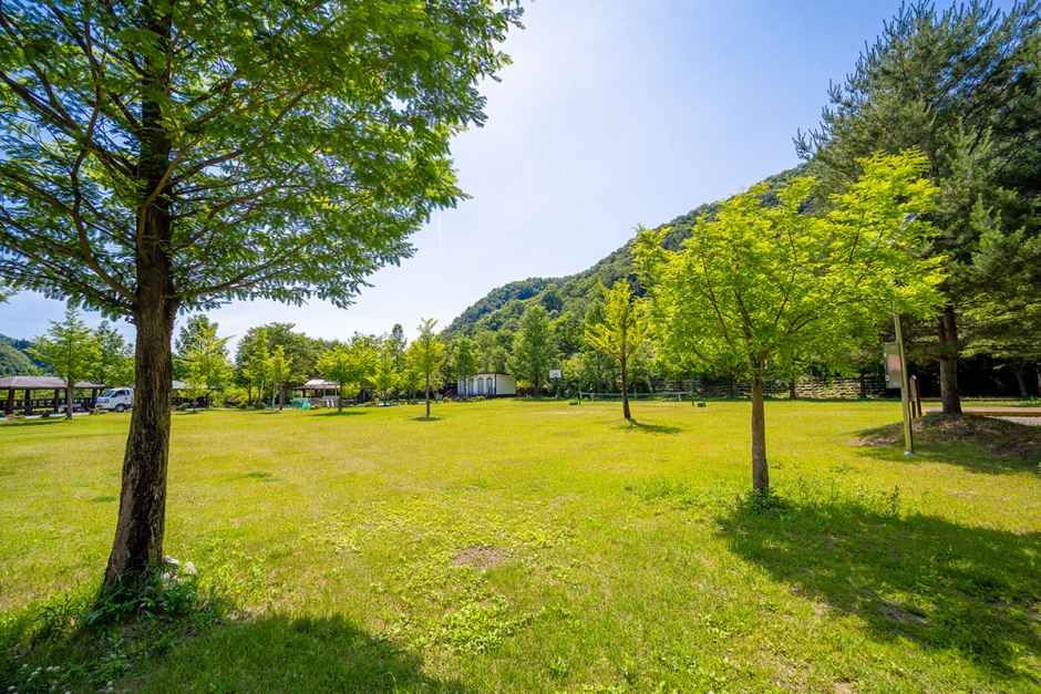신대리야영장 여행 추천 - 메고지고 신대리야영장 여행 추천 - 메고지고