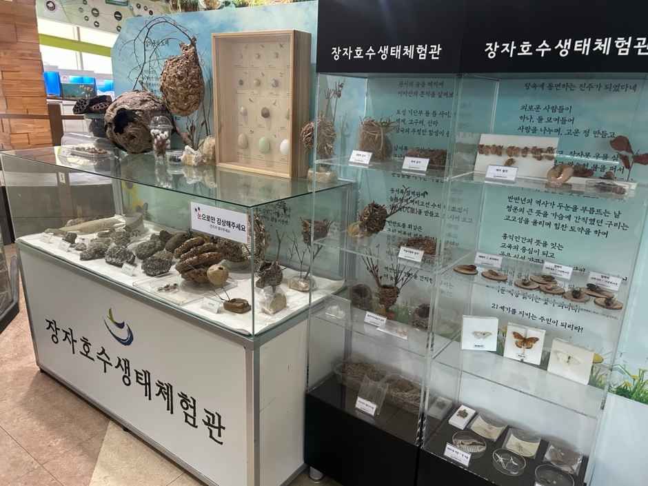 장자호수생태체험관 여행 추천 - 메고지고 장자호수생태체험관 여행 추천 - 메고지고
