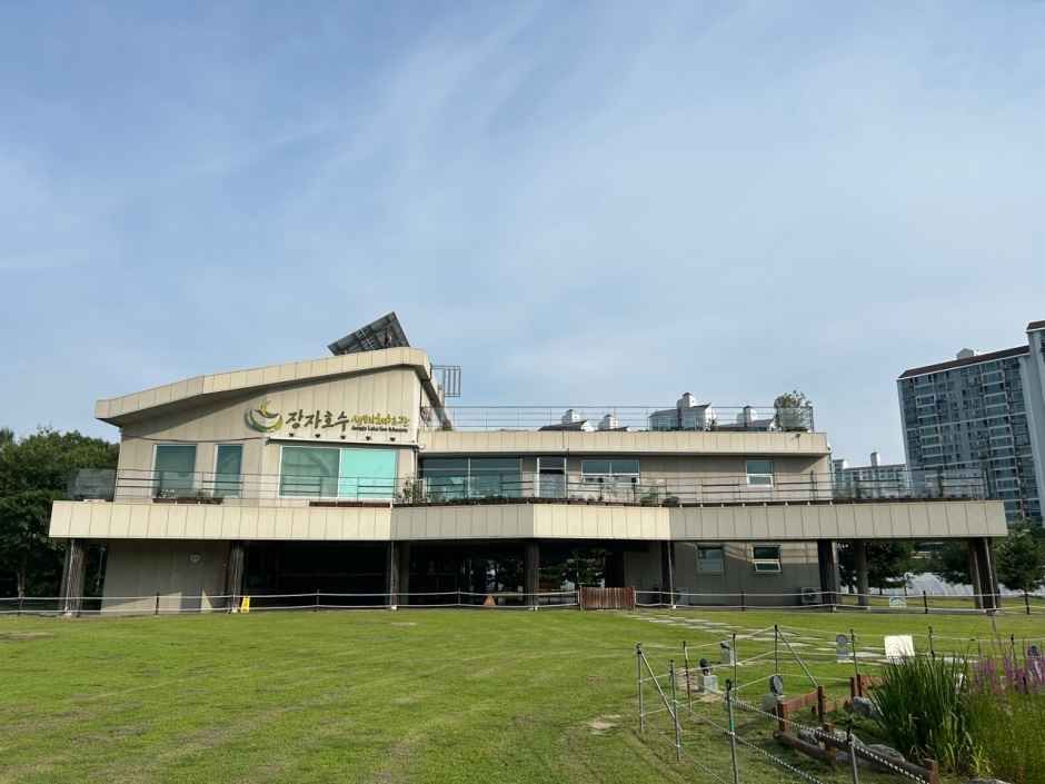 장자호수생태체험관 여행 추천 - 메고지고 장자호수생태체험관 여행 추천 - 메고지고