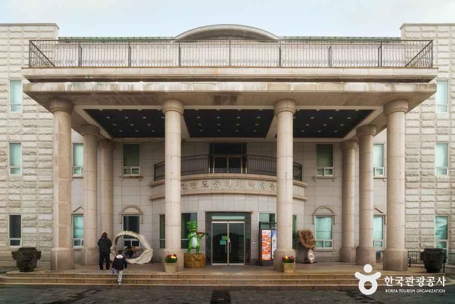 안면도 쥬라기박물관 여행 추천 - 메고지고
