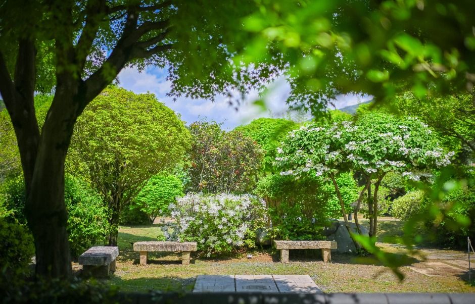 지수승산부자마을 여행 추천 - 메고지고 지수승산부자마을 여행 추천 - 메고지고