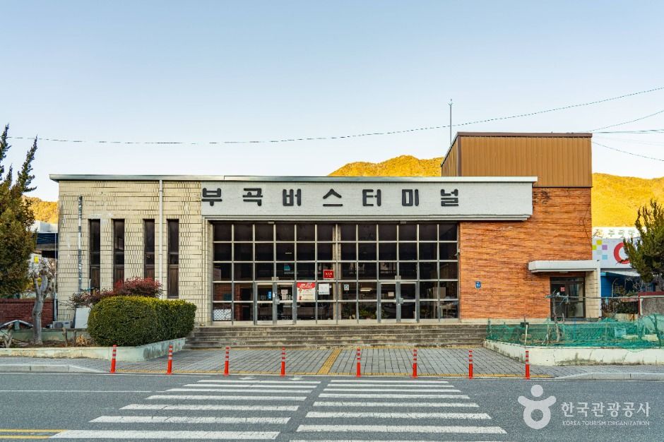 부곡온천 관광특구 여행 추천 - 메고지고 부곡온천 관광특구 여행 추천 - 메고지고