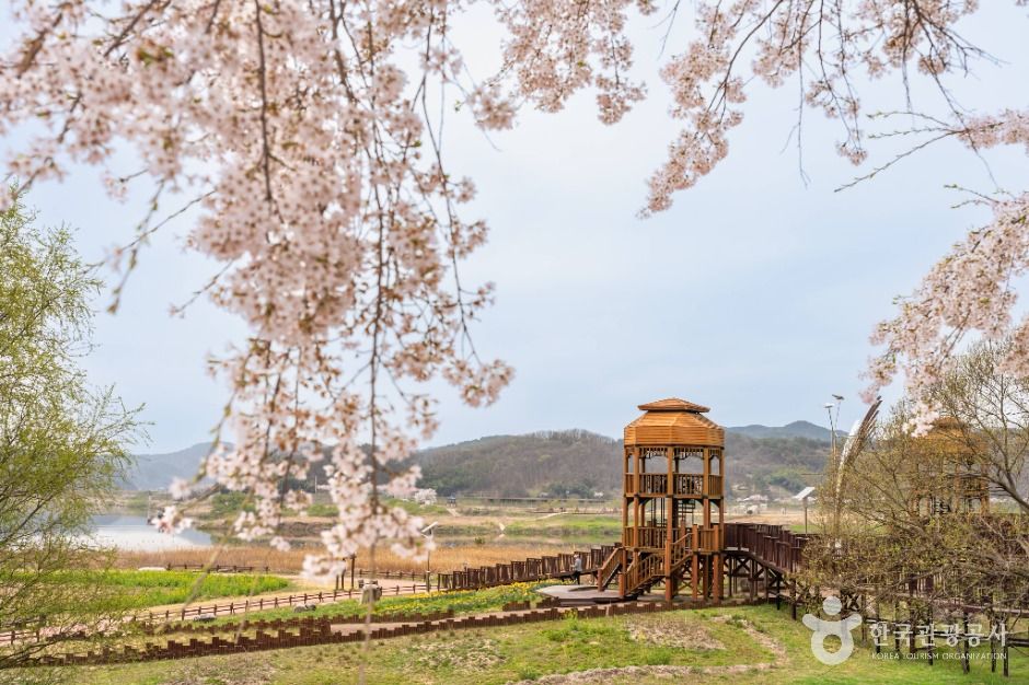 남지개비리길 여행 추천 - 메고지고 남지개비리길 여행 추천 - 메고지고