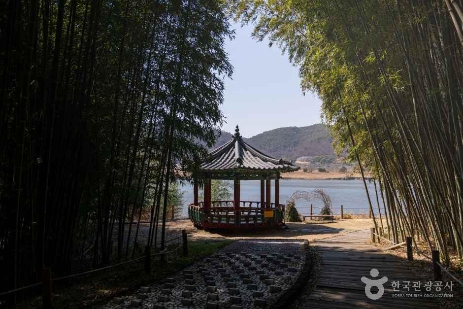 남지개비리길 여행 추천 - 메고지고 남지개비리길 여행 추천 - 메고지고