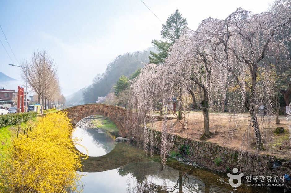 창녕 영산 만년교 여행 추천 - 메고지고 창녕 영산 만년교 여행 추천 - 메고지고