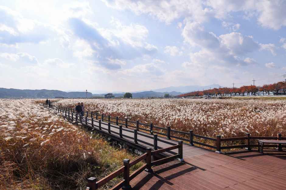 남대천연어생태공원 여행 추천 - 메고지고