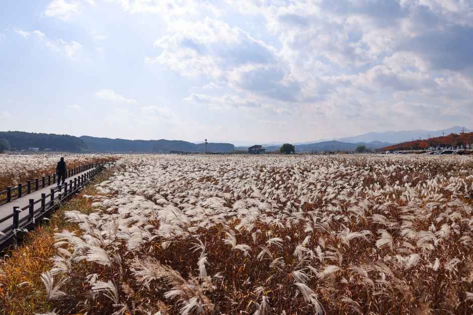 남대천연어생태공원 여행 추천 - 메고지고