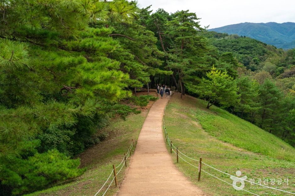영월 장릉(단종) [유네스코 세계유산] 여행 추천 - 메고지고