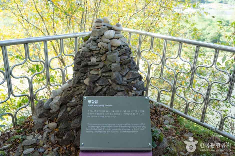 영월 청령포 여행 추천 - 메고지고