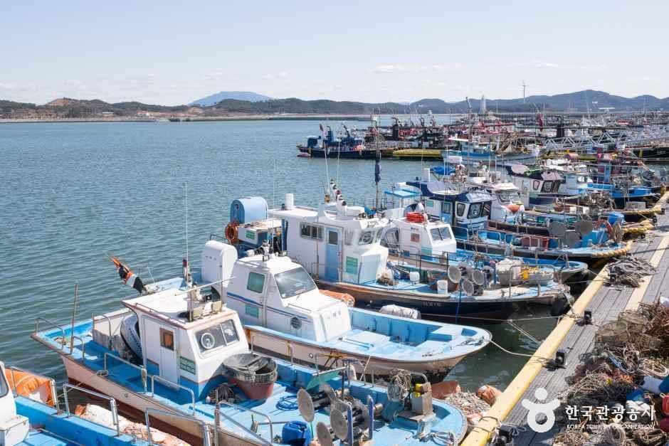남당항 여행 추천 - 메고지고 남당항 여행 추천 - 메고지고