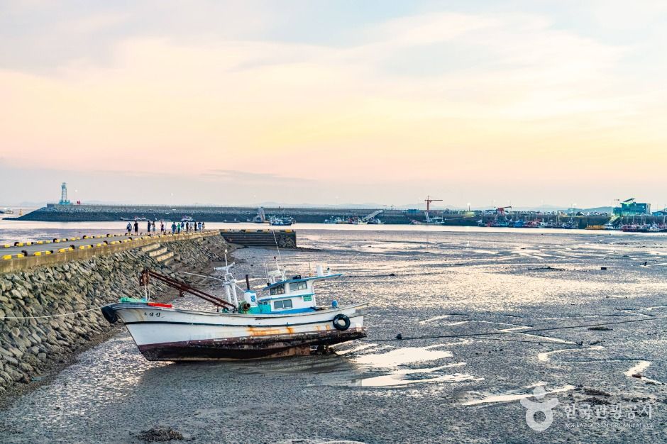 남당항 여행 추천 - 메고지고 남당항 여행 추천 - 메고지고