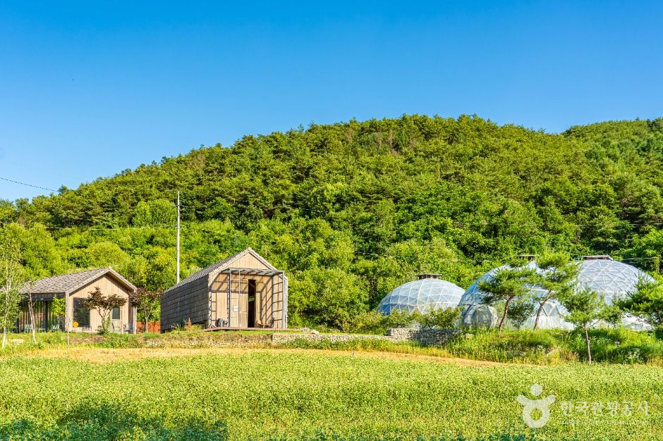 맹개마을 여행 추천 - 메고지고