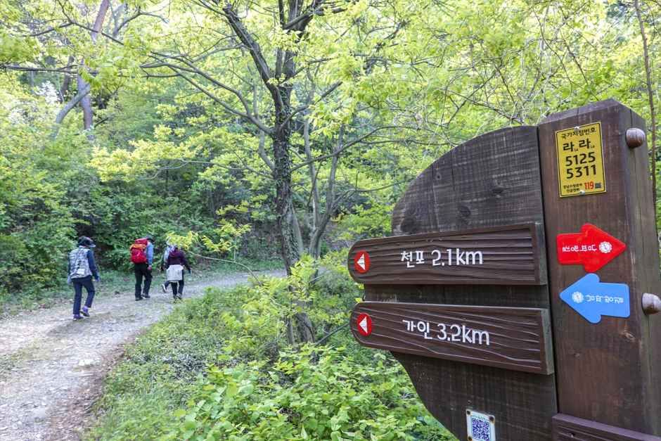 [남해바래길 4코스] 고사리밭길 여행 추천 - 메고지고