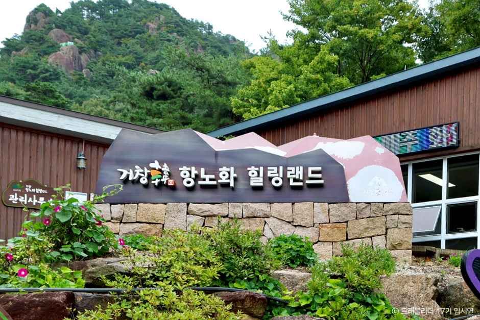 거창 항노화힐링랜드 여행 추천 - 메고지고 거창 항노화힐링랜드 여행 추천 - 메고지고