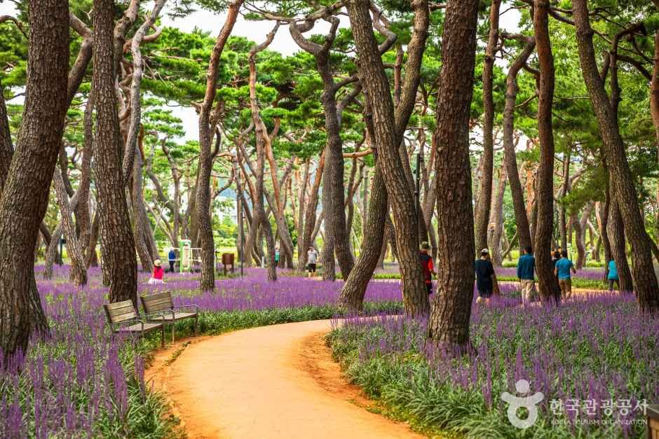 황성공원 여행 추천 - 메고지고