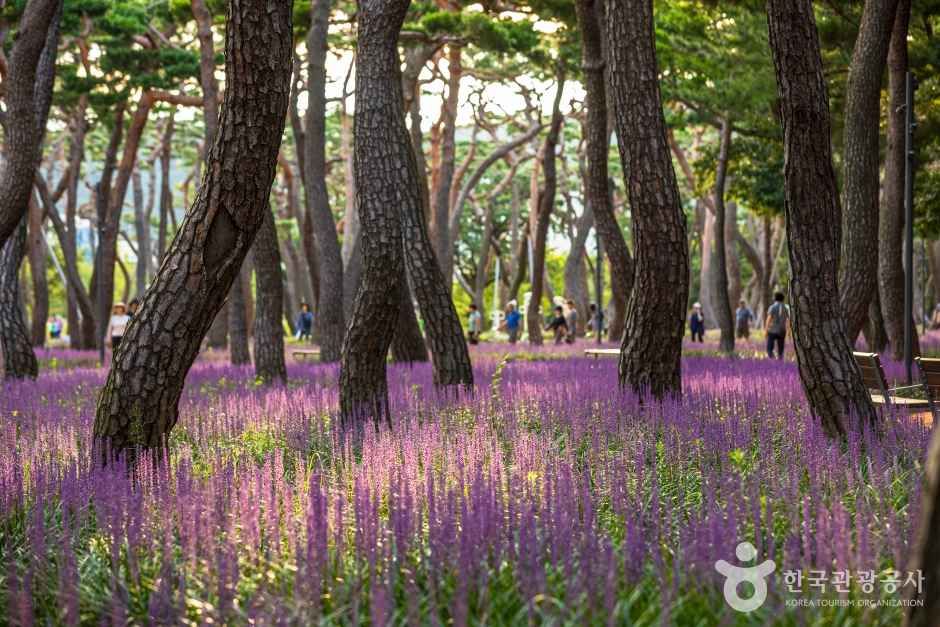 황성공원 여행 추천 - 메고지고
