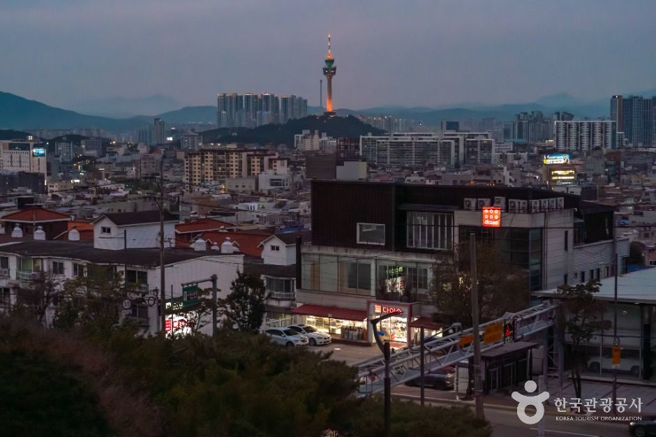 이월드 83타워 여행 추천 - 메고지고