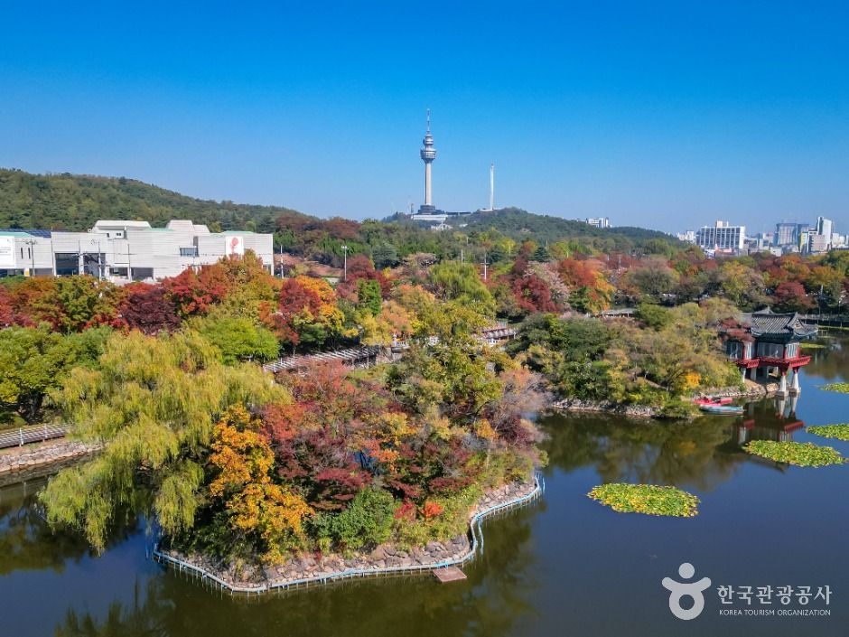 이월드 83타워 여행 추천 - 메고지고