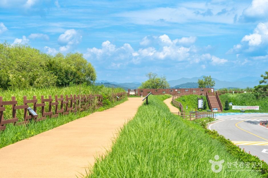 주남저수지 철새도래지 여행 추천 - 메고지고