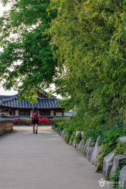 경주 교촌마을 여행 추천 - 메고지고 경주 교촌마을 여행 추천 - 메고지고