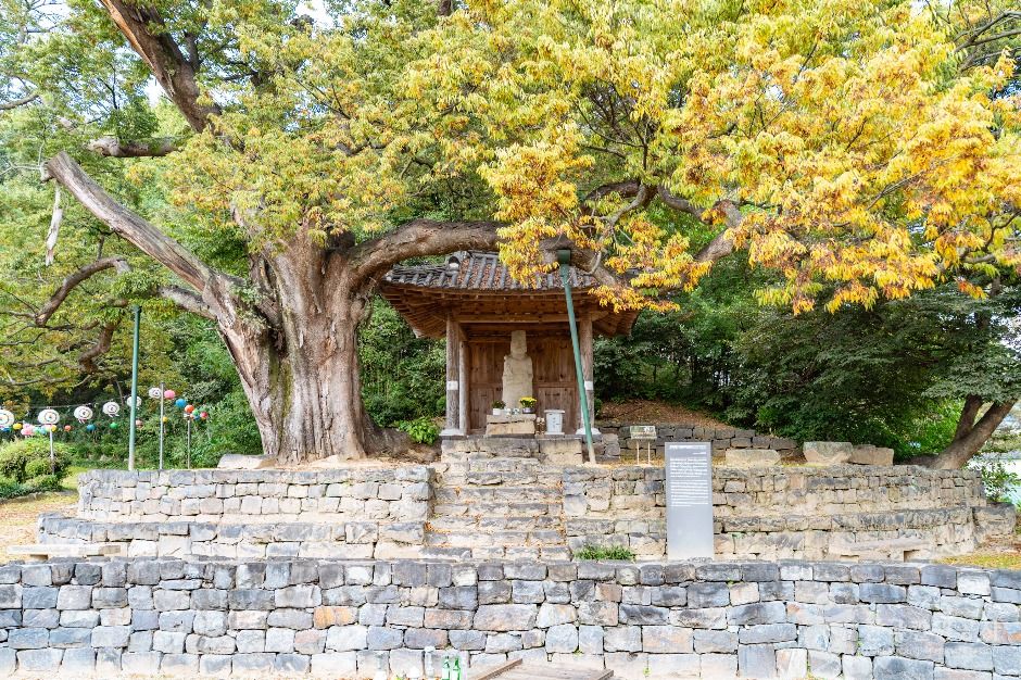 증평 미암리 석조관음보살입상 여행 추천 - 메고지고 증평 미암리 석조관음보살입상 여행 추천 - 메고지고