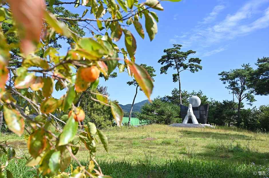 달오름마을 여행 추천 - 메고지고 달오름마을 여행 추천 - 메고지고