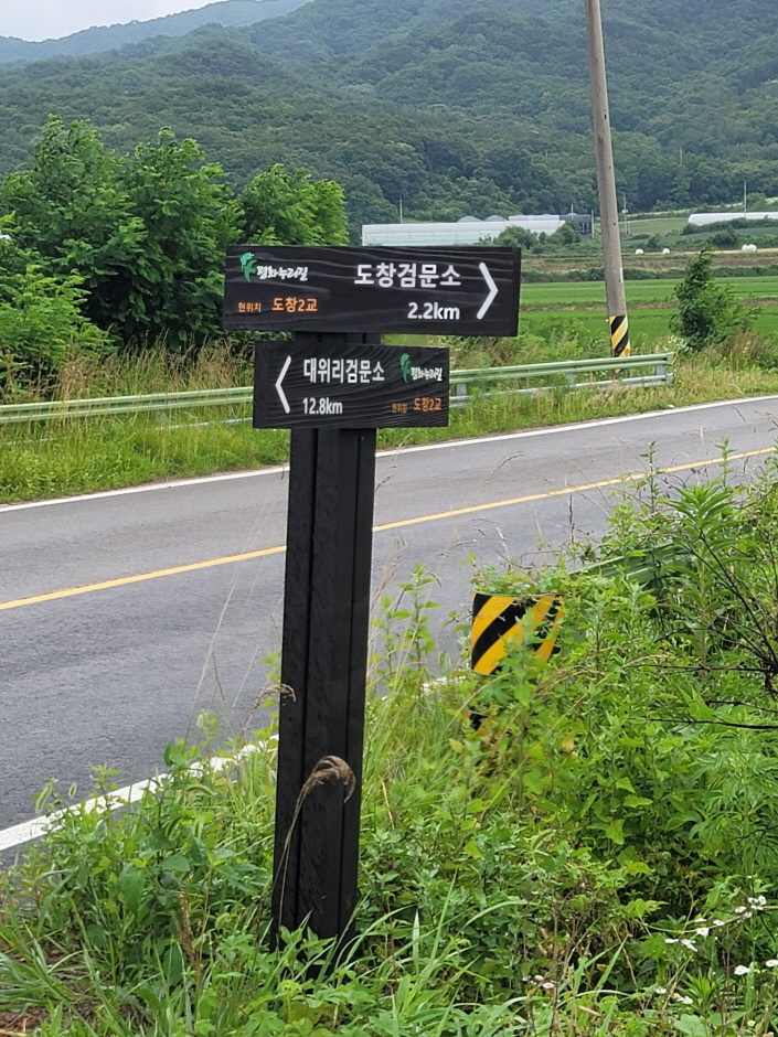 [강원평화누리자전거길 2코스] 철원 두루미 머무는길 여행 추천 - 메고지고